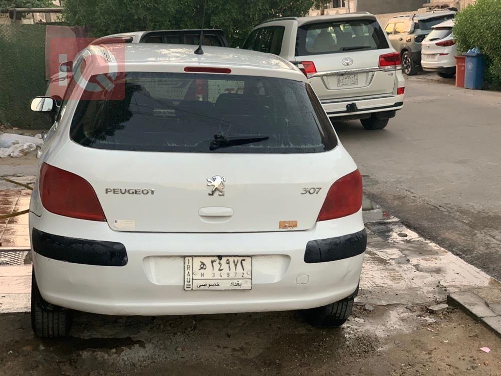 بیجۆ 307